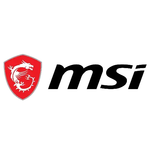 MSI